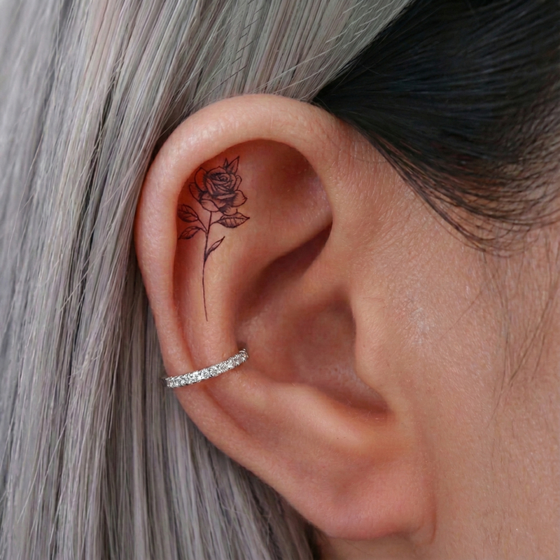 Conch