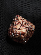 Giant 50cm Handmade "Prison Realm" Cursed Object Sculpture | Gory Flesh & Blood... - Crux Jewelry product image 9
