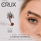 ETSY 4529721904 | IMAGE 1 | Red Gem Spider Titanium Eyebrow Barbell