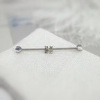 Fleur-de-Lis Crystal industrial barbell detail 5