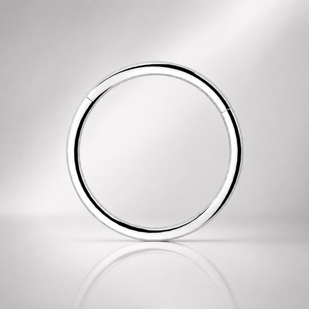 ETSY 4539770693 | IMAGE 6 | Titanium Double Hoop Septum Clicker