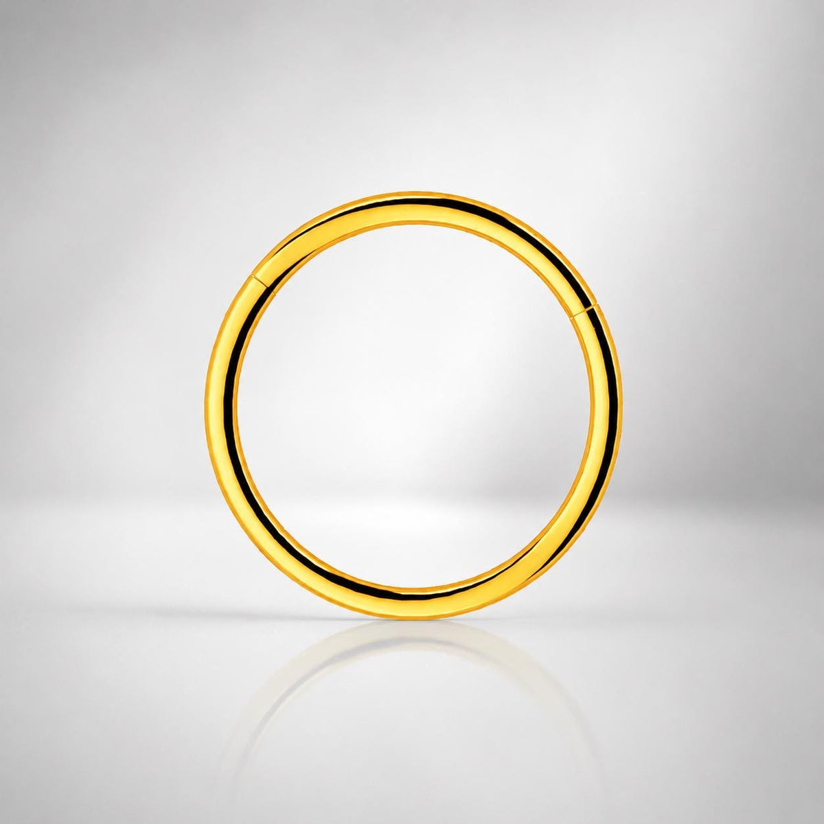 ETSY 4539770693 | IMAGE 7 | Titanium Double Hoop Septum Clicker