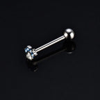 ETSY 4565860262 | IMAGE 7 | Paw & Bone Titanium Barbell