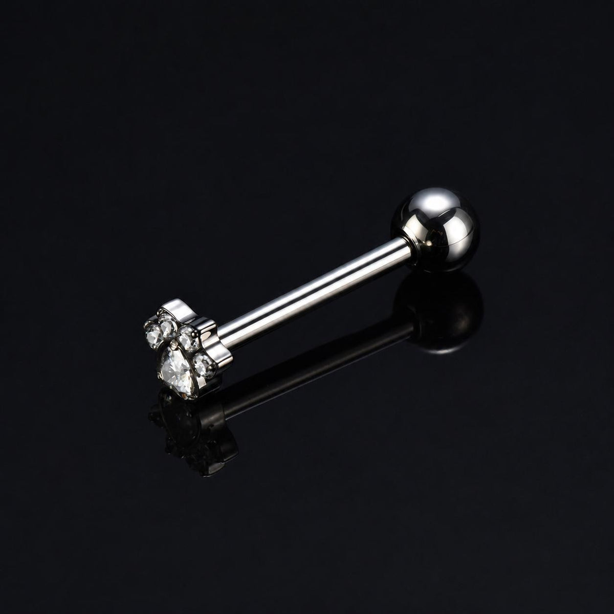 ETSY 4565860262 | IMAGE 9 | Paw & Bone Titanium Barbell