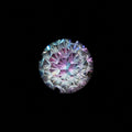 Starburst Crystal F136 Titanium flat-back jewelry image 08